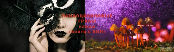 мяу мяу кристалл Дмитров