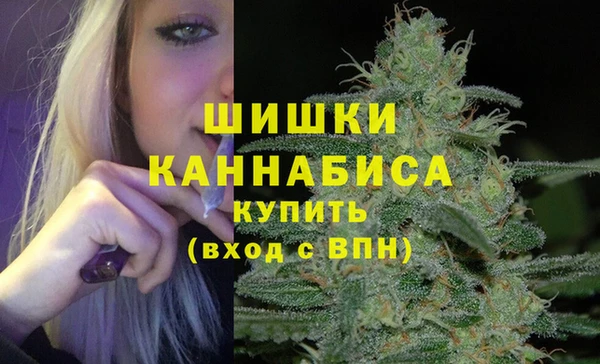 spice Дмитровск
