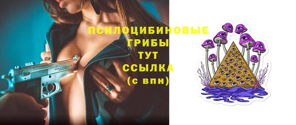 spice Дмитровск